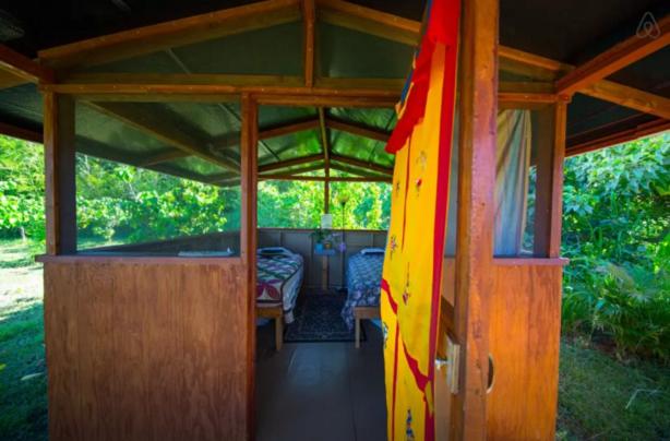 Kirpal Meditation and Ecological Center - image 4