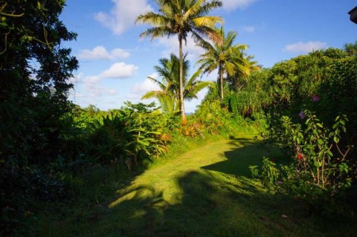Kirpal Meditation and Ecological Center - image 41