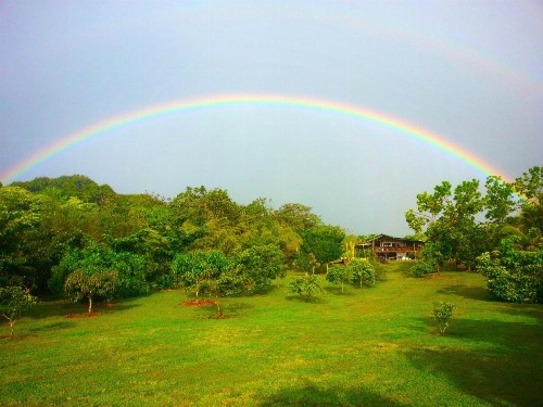 Kirpal Meditation and Ecological Center - image 46