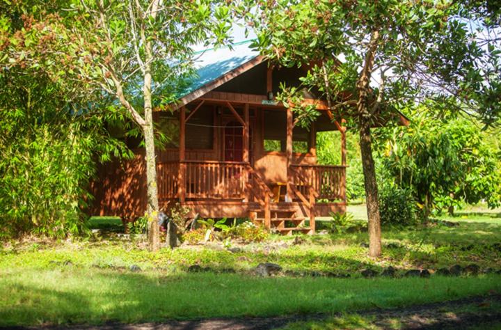 Kirpal Meditation and Ecological Center - image 5