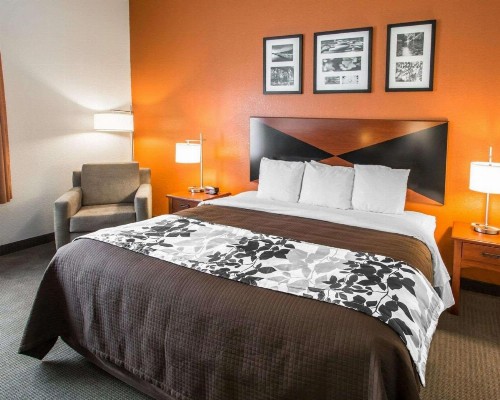 Sleep Inn & Suites Palatka North - image 7