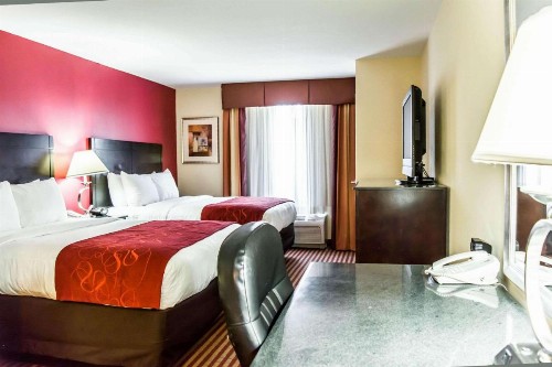 Comfort Suites Palm Bay - Melbourne - image 13