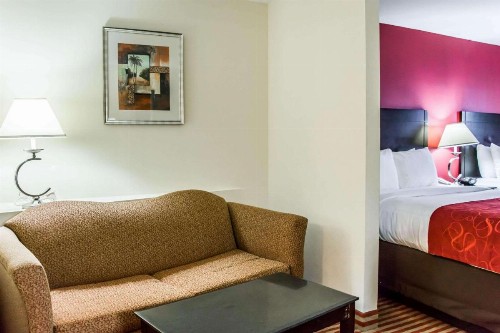 Comfort Suites Palm Bay - Melbourne - image 19