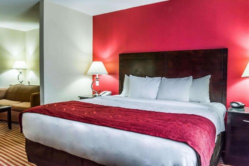 Comfort Suites Palm Bay - Melbourne - image 23