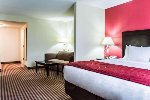 Comfort Suites Palm Bay - Melbourne - image 4