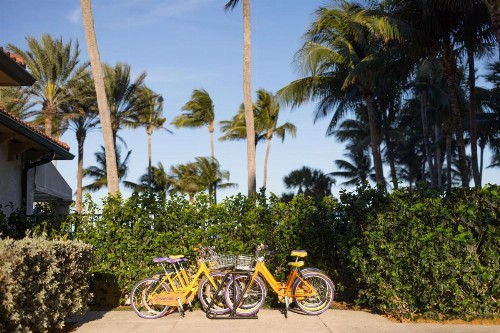 Marriott's Ocean Pointe - image 40