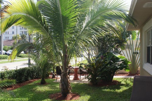Atlantic Shores Vacation Villas - image 6