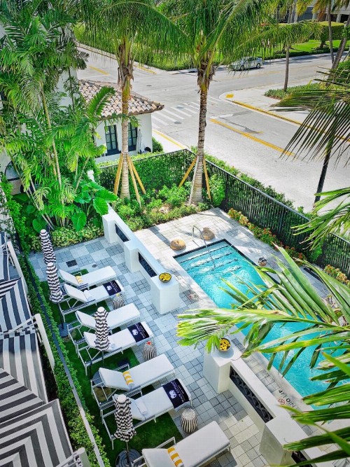 White Elephant Palm Beach - image 3