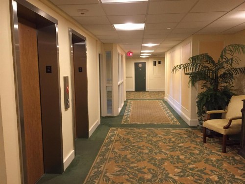 Tropical Elegant Palm Beach 2 Bedroom 2 Bathroom Suite - image 43
