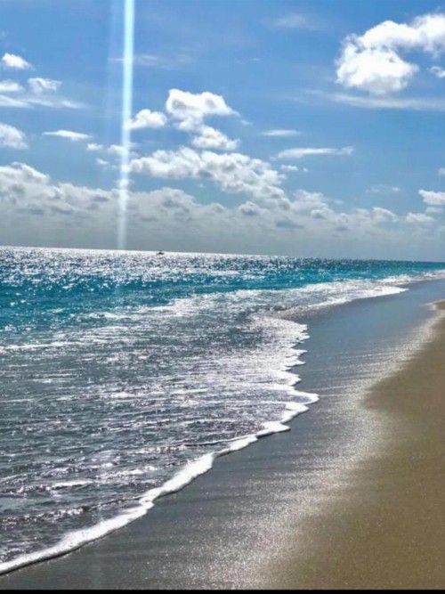 Tropical Elegant Palm Beach 2 Bedroom 2 Bathroom Suite - image 50