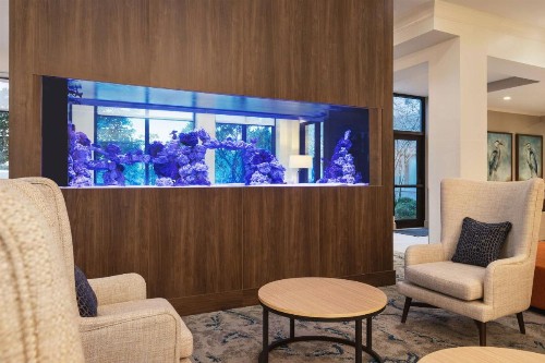 Hilton Garden Inn Palm Coast Town Center - image 11
