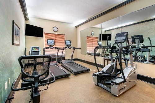 Best Western Plus Flagler Beach Area Inn & Suites - image 5