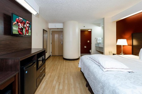 Red Roof Inn PLUS+ Palm Coast - image 19