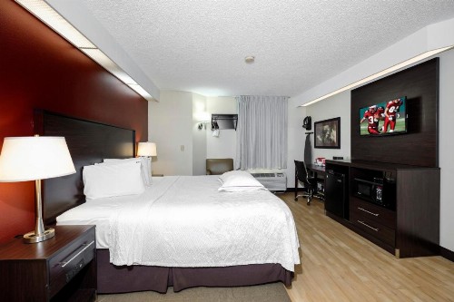 Red Roof Inn PLUS+ Palm Coast - image 20
