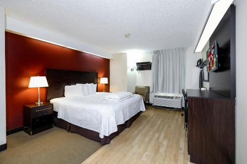 Red Roof Inn PLUS+ Palm Coast - image 22