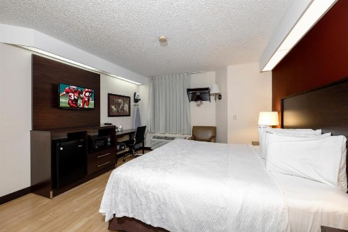 Red Roof Inn PLUS+ Palm Coast - image 23