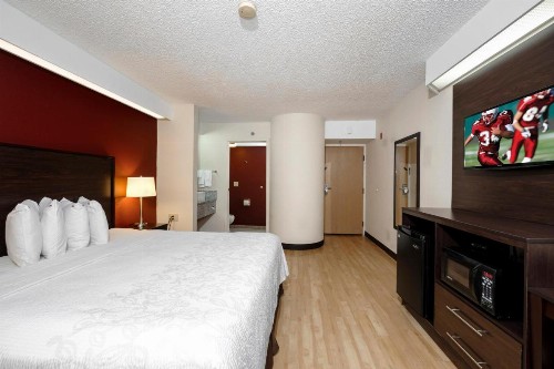 Red Roof Inn PLUS+ Palm Coast - image 24