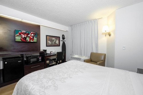 Red Roof Inn PLUS+ Palm Coast - image 30