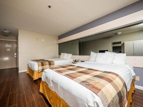 Microtel Inn & Suites Palm Coast - image 15