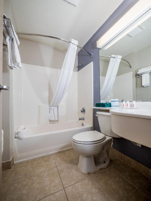 Microtel Inn & Suites Palm Coast - image 3