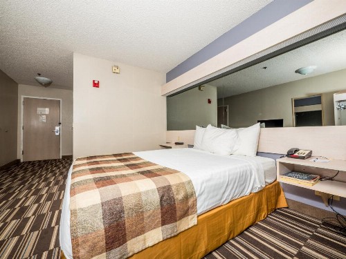 Microtel Inn & Suites Palm Coast - image 4