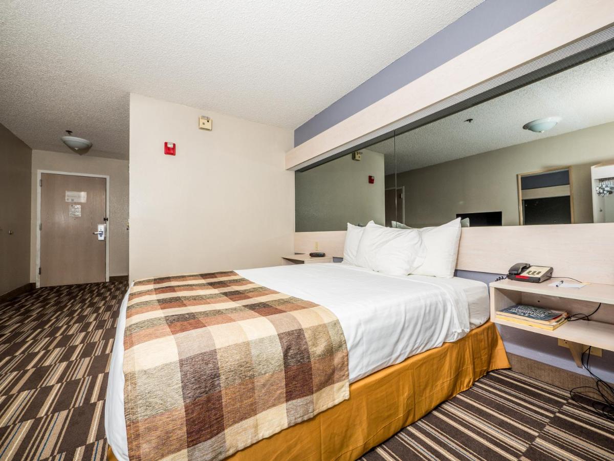 Microtel Inn & Suites Palm Coast - image 4