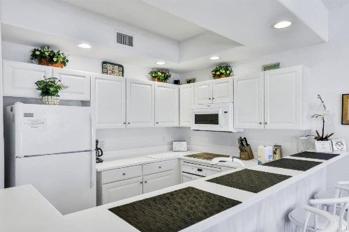 Palm Harbor Hideaway - image 8