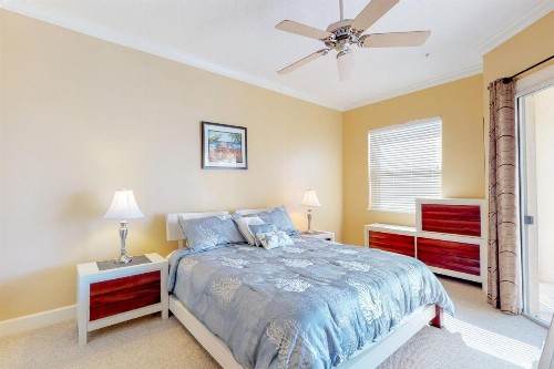 1000 Cinnamon Beach - image 8