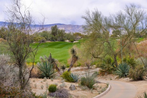 Residence Inn Palm Desert - image 34