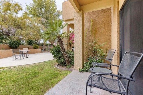 Best Western Plus Palm Desert Resort - image 42
