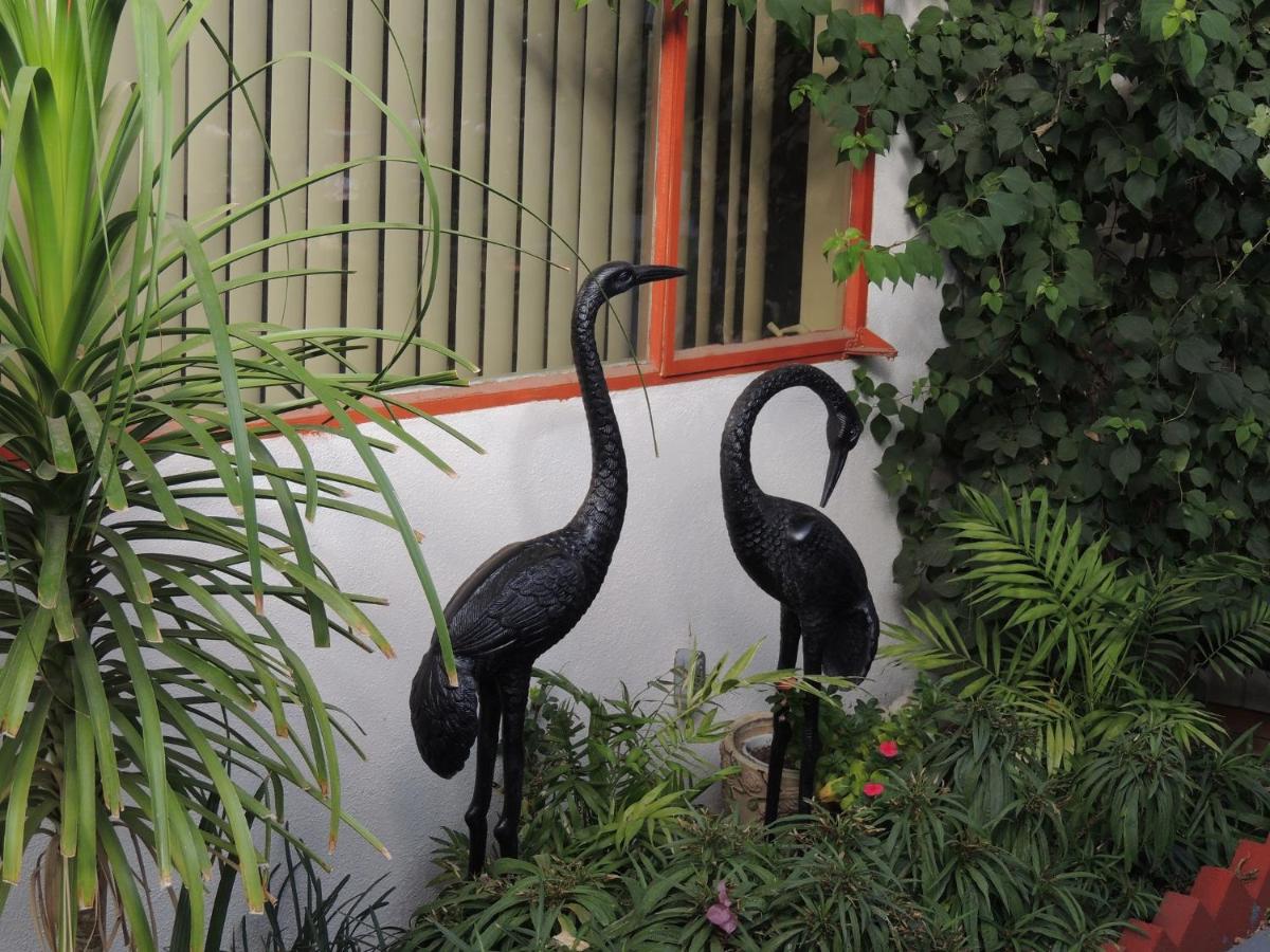 Casa Larrea Inn - image 7