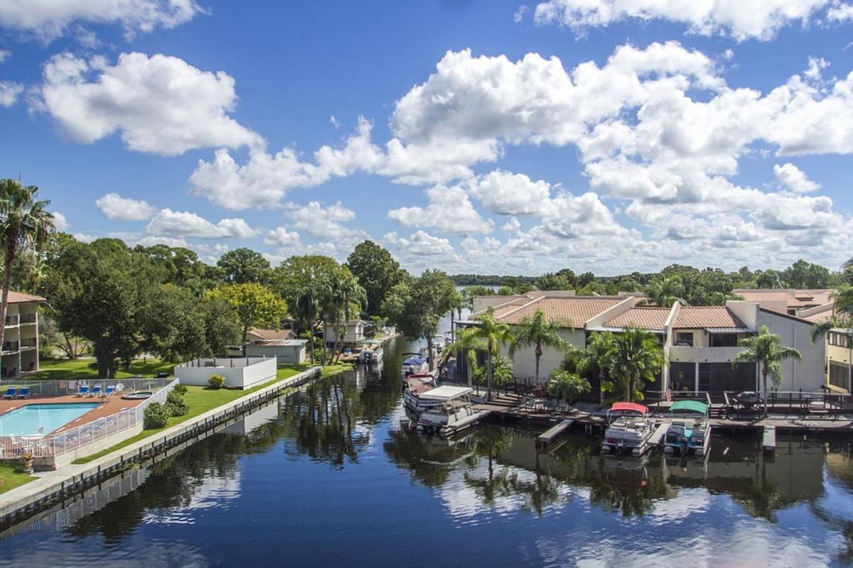 Vista Inn Lake Tarpon - main image