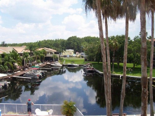 Vista Inn Lake Tarpon - image 10