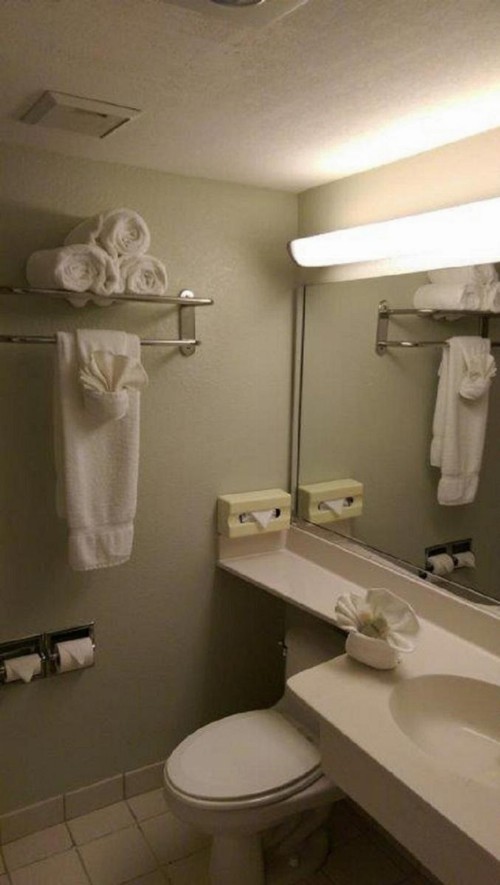 Vista Inn Lake Tarpon - image 11