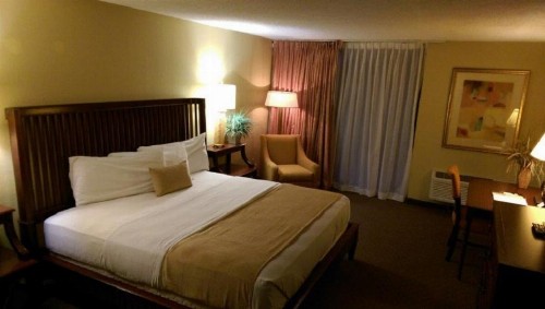 Vista Inn Lake Tarpon - image 6
