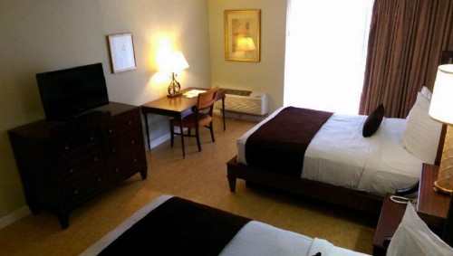 Vista Inn Lake Tarpon - image 7