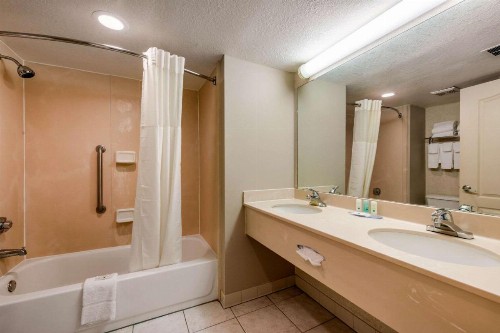 Quality Inn & Suites Tarpon Springs South - image 11