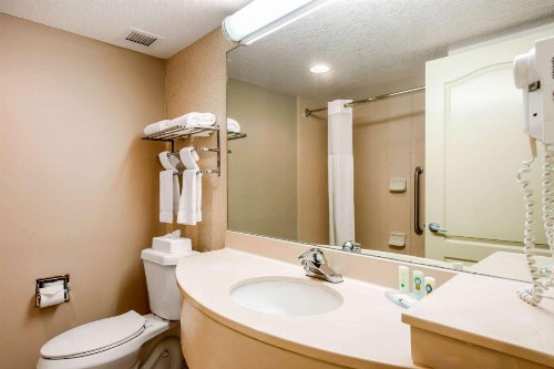 Quality Inn & Suites Tarpon Springs South - image 17