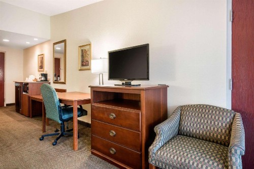 Quality Inn & Suites Tarpon Springs South - image 18
