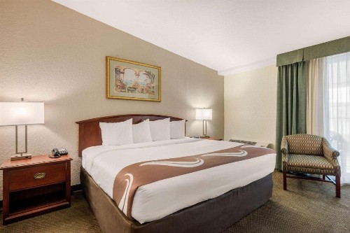 Quality Inn & Suites Tarpon Springs South - image 20
