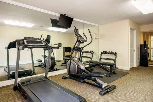 Quality Inn & Suites Tarpon Springs South - image 21