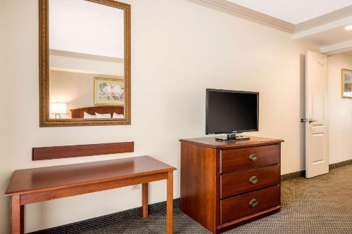 Quality Inn & Suites Tarpon Springs South - image 22