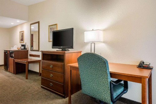 Quality Inn & Suites Tarpon Springs South - image 37