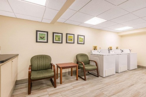 Quality Inn & Suites Tarpon Springs South - image 4