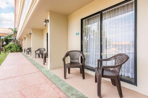 Quality Inn & Suites Tarpon Springs South - image 6