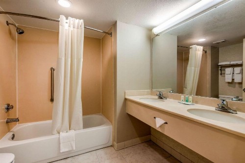 Quality Inn & Suites Tarpon Springs South - image 8
