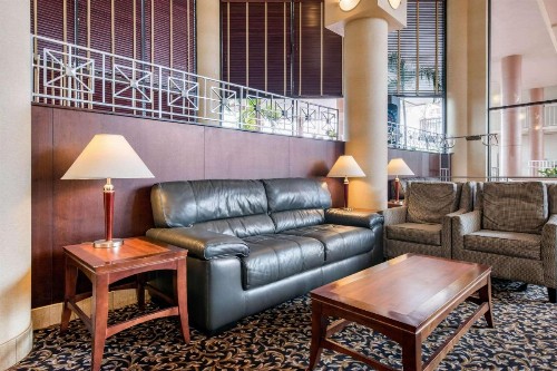 Quality Inn & Suites Tarpon Springs South - image 9