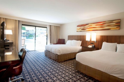 Hilton Palm Springs - image 16