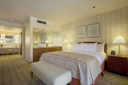 Hilton Palm Springs - image 18