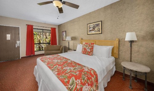 Caliente Tropics - image 19